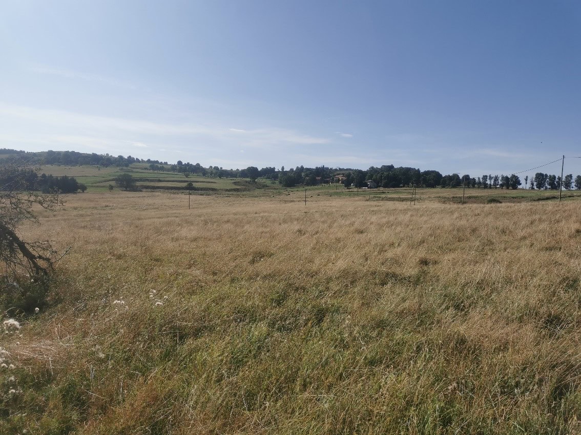 Prairie de fauche en Ardèche où l’un des mâles chanteurs a été contacté en 2024