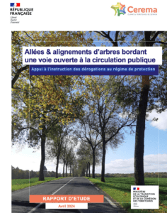 allée d'arbres en bordure de routes - aide à l'instruction des dossiers