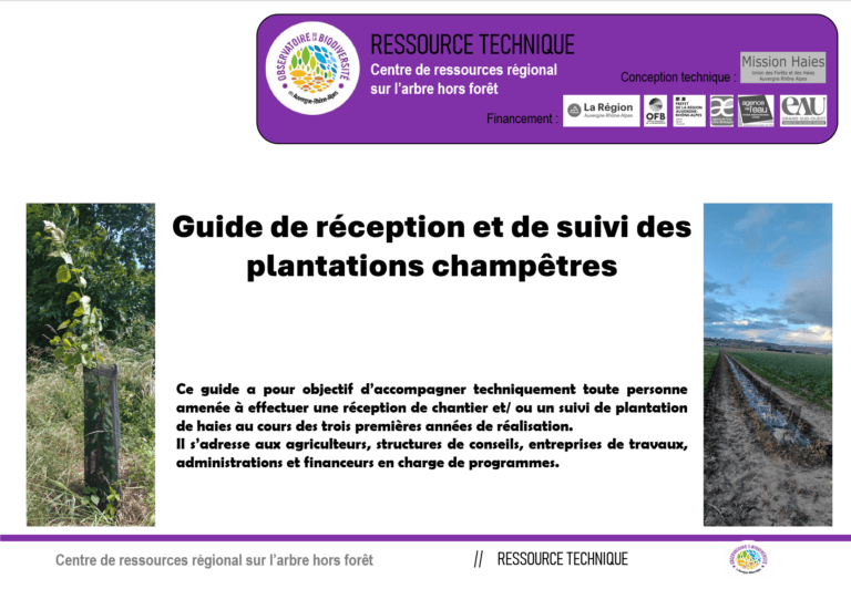 guide pour bien receptionner une plantation de haie champêtre