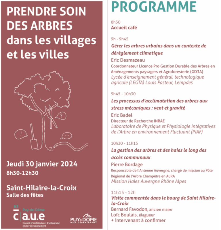 PRENDRE SOIN DES ARBRES - Conseil Architecture Urbanisme Environnement Puy-de-Dôme (CAUE63)